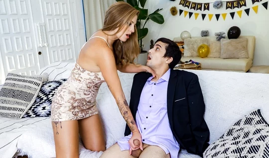 Mushuklarning barcha turlari yaqindan olingan fotosuratlar